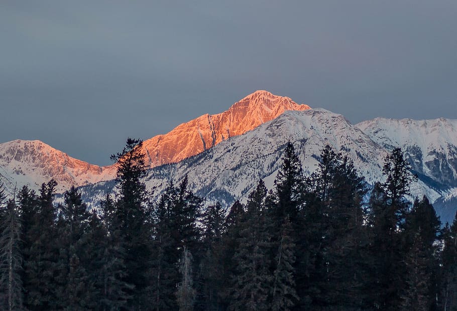 landscape photography of mountain covered with snow, tall, trees HD wallpaper