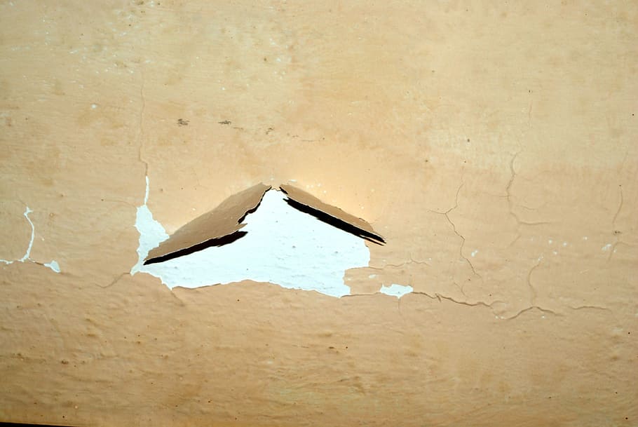 Old, Flaky, Painted, Wall, the background, building, leaves HD wallpaper