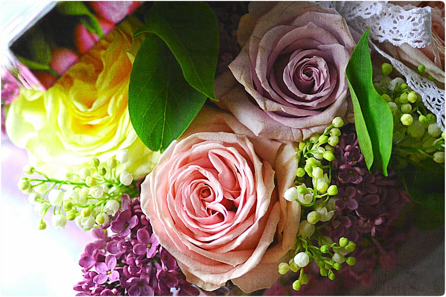 bouquet, rose, liliac, spring, flowers, flowering plant, rose - flower HD wallpaper