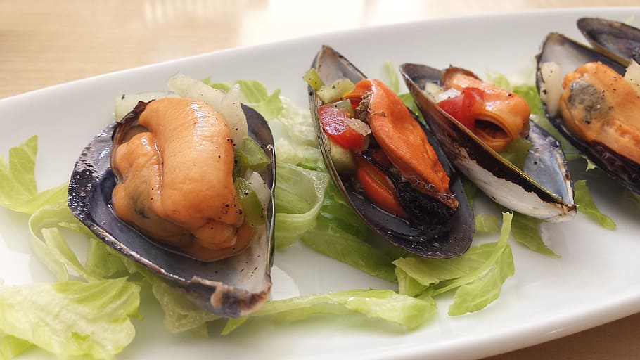 Mussels, Food, Table, food and drink, plate, ready-to-eat, seafood HD wallpaper