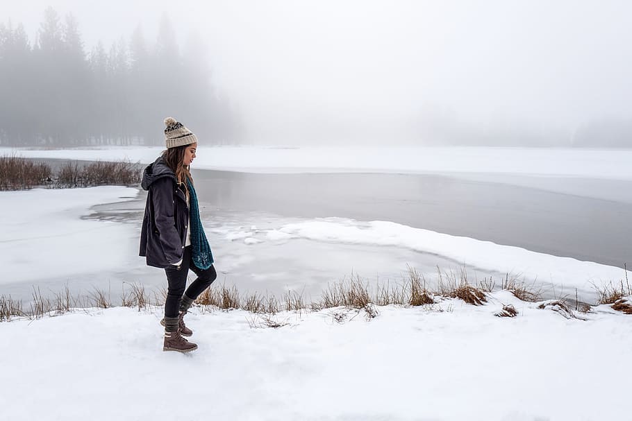 snow, winter, cold, weather, nature, outdoor, cold temperature HD wallpaper