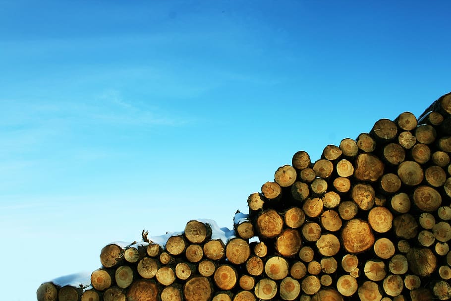 wood, logging, blue, sky, stack, timber, large group of objects HD wallpaper