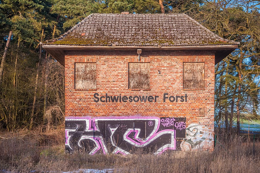 ruin, stones, train, trees, roof, window, graffitti, architecture HD wallpaper