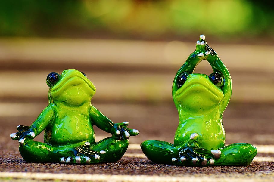 two green frog figurines in tilt-shift lens photo, frogs, figure