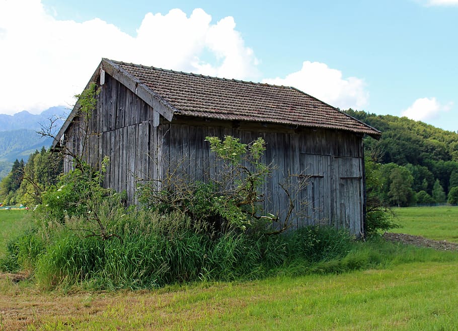field, barn, hut, meadow, nature, field barn, old, built structure HD wallpaper