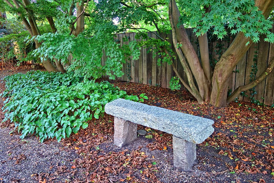 bench, seat, stone bench, garden, park, sitting, tree, fence HD wallpaper