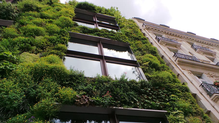 gray concrete building with glass windows, Wall, Eco, Nature HD wallpaper