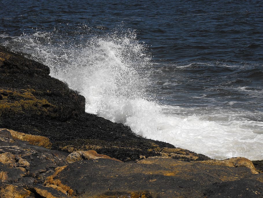 wave, splash, ocean, water, coast, rocks, sea, motion, power in nature HD wallpaper