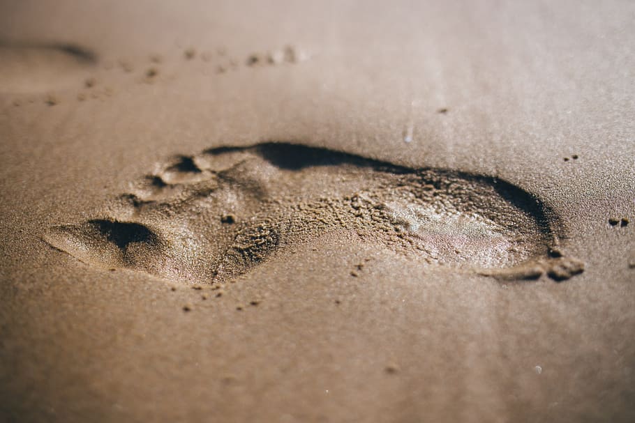 Footstep Sand, travel, beach, footprint, sea, nature, human Foot, HD wallpaper