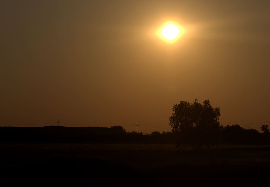 sunset, sky, landscape, shine, tree, beauty in nature, silhouette HD wallpaper