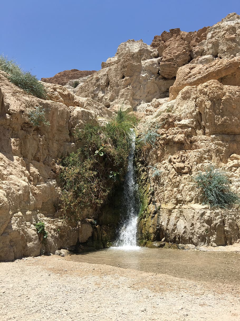 eingeti, israel, desert, nature, spring, stone, mountain, negev, HD wallpaper
