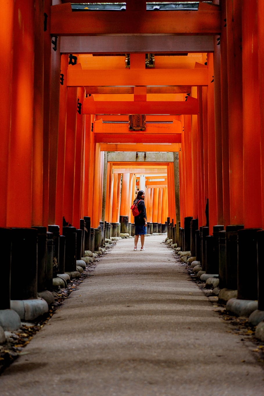 woman under red and black shrine, woman with red backpack walking on red tunnel with daytime HD wallpaper