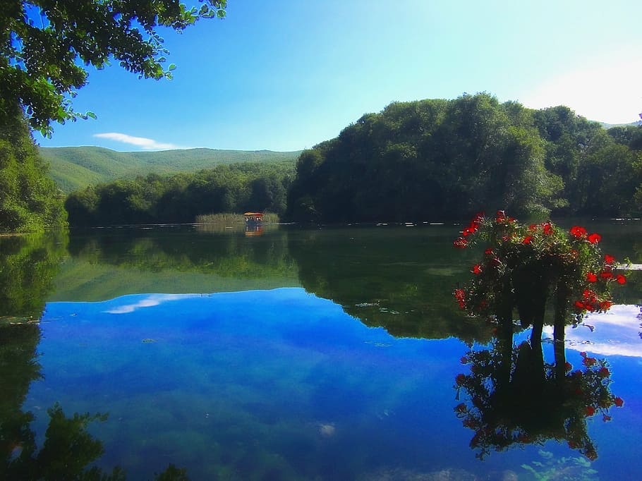 pond, lake, water, forest, trees, summer, woods, boat, people HD wallpaper