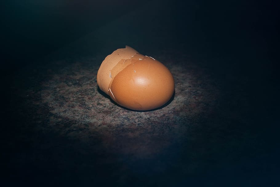 egg shell, chicken, breakfast, cooking, dark, ingredient, food HD wallpaper