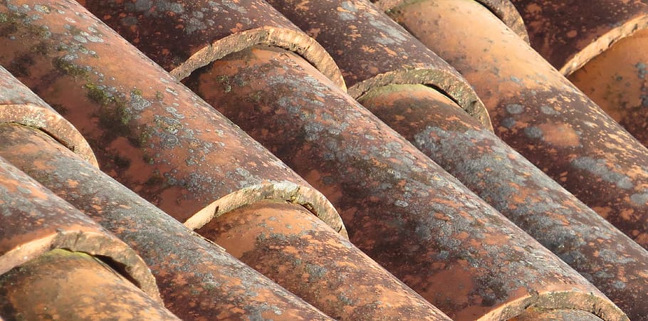 image, ceiling, roof, tile, armenia, full frame, backgrounds HD wallpaper