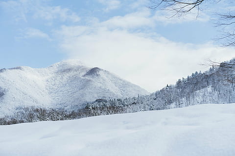 grass, ground, empty, snow, winter, cold temperature, sky, beauty in nature HD wallpaper