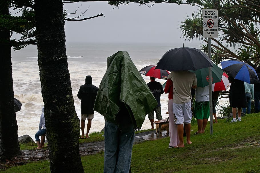 people, rain, watching, coast, sea, ocean, storm, swell, wet HD wallpaper
