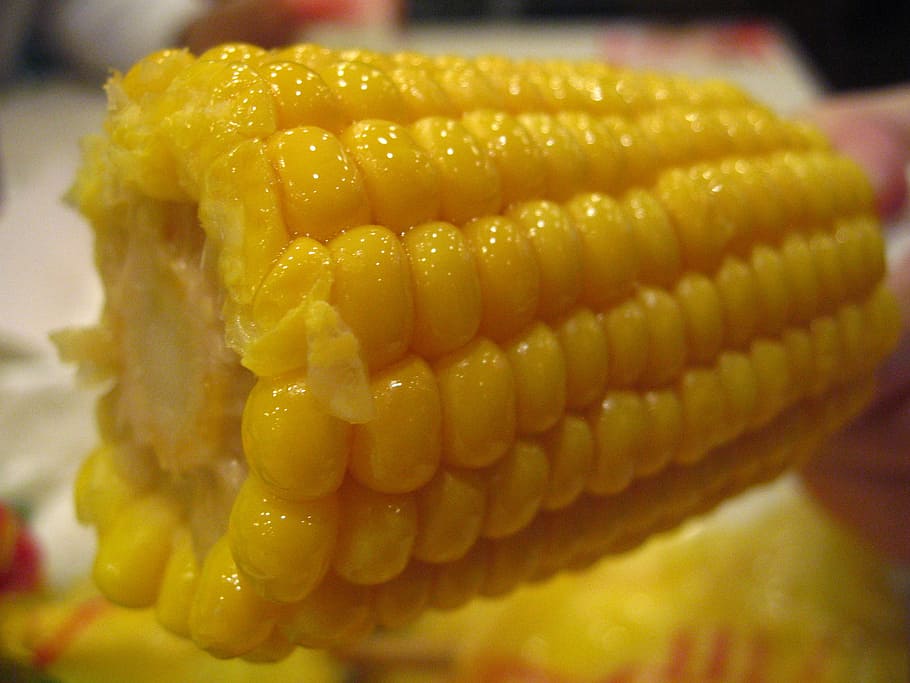 corn, food, kfc corn, yellow, food and drink, freshness, close-up, HD wallpaper