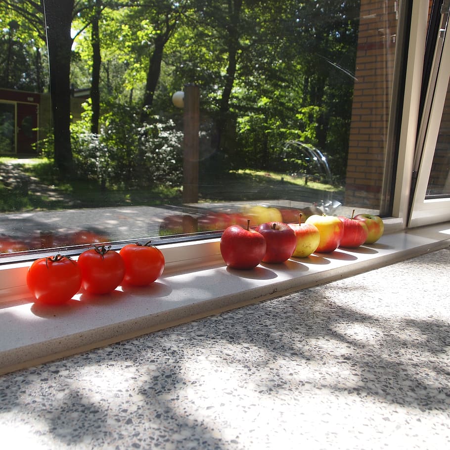 tomatoes, apples, window sill, summer, trees, green, leaves HD wallpaper