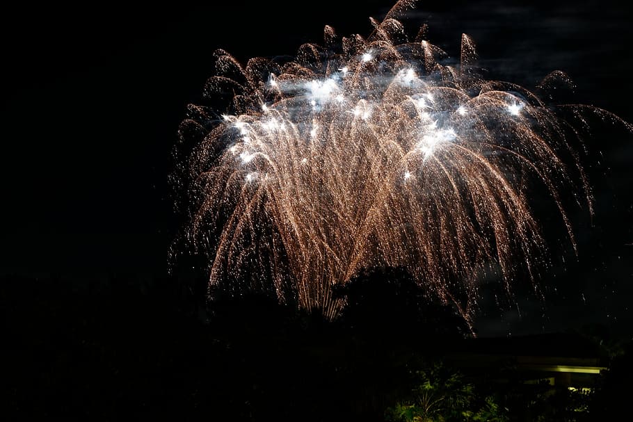 fireworks, beach, magnificent, night, exploding, celebration HD wallpaper