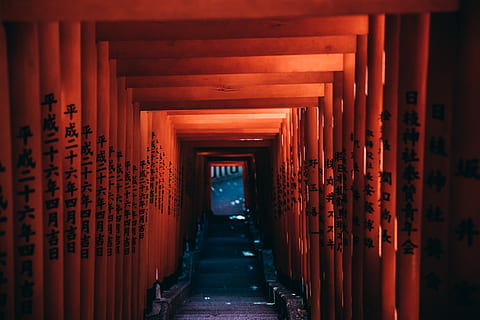 red gateway path, landscape photography of torii gates, building HD wallpaper