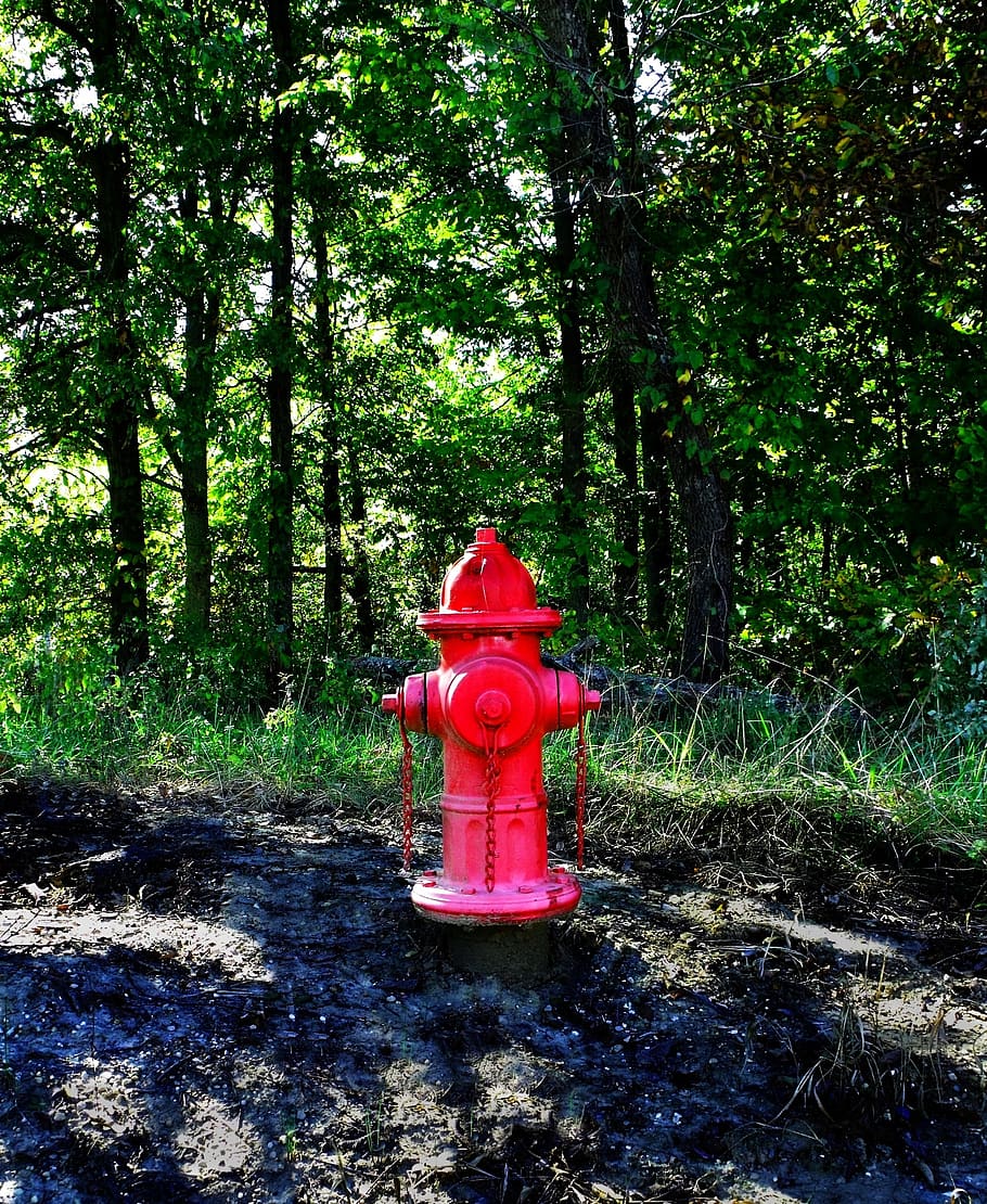 hydrant, fire, water, rural, emergency, red, safety, forest HD wallpaper