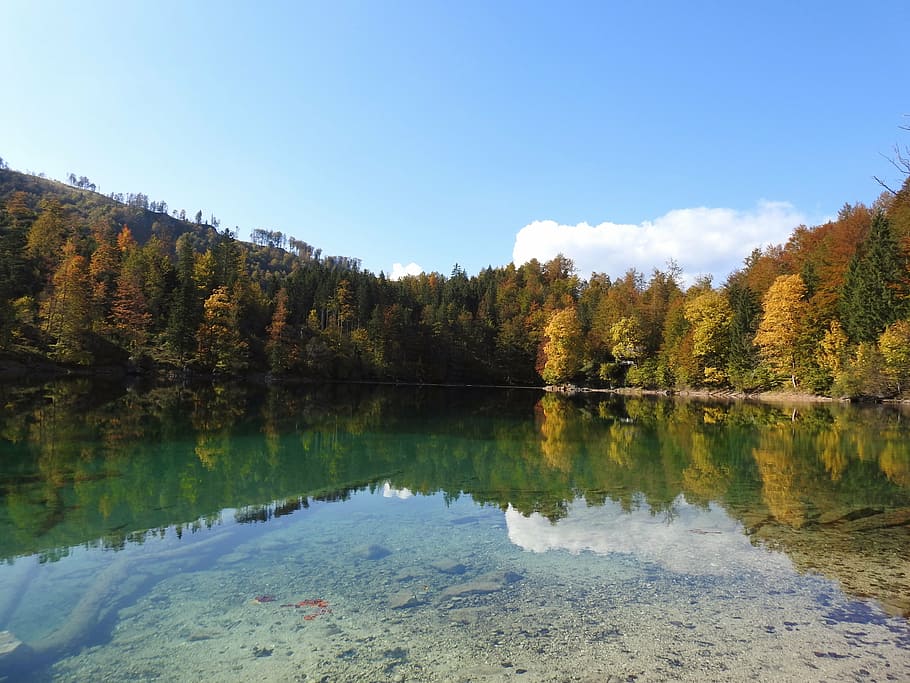 bergsee, forest, water, austria, mountains, trees, autumn, nature HD wallpaper