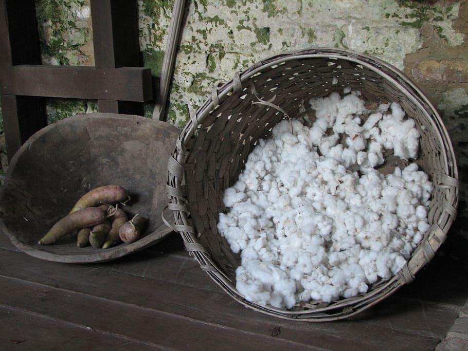 cotton, yams, basket, food, food and drink, wellbeing, bowl HD wallpaper