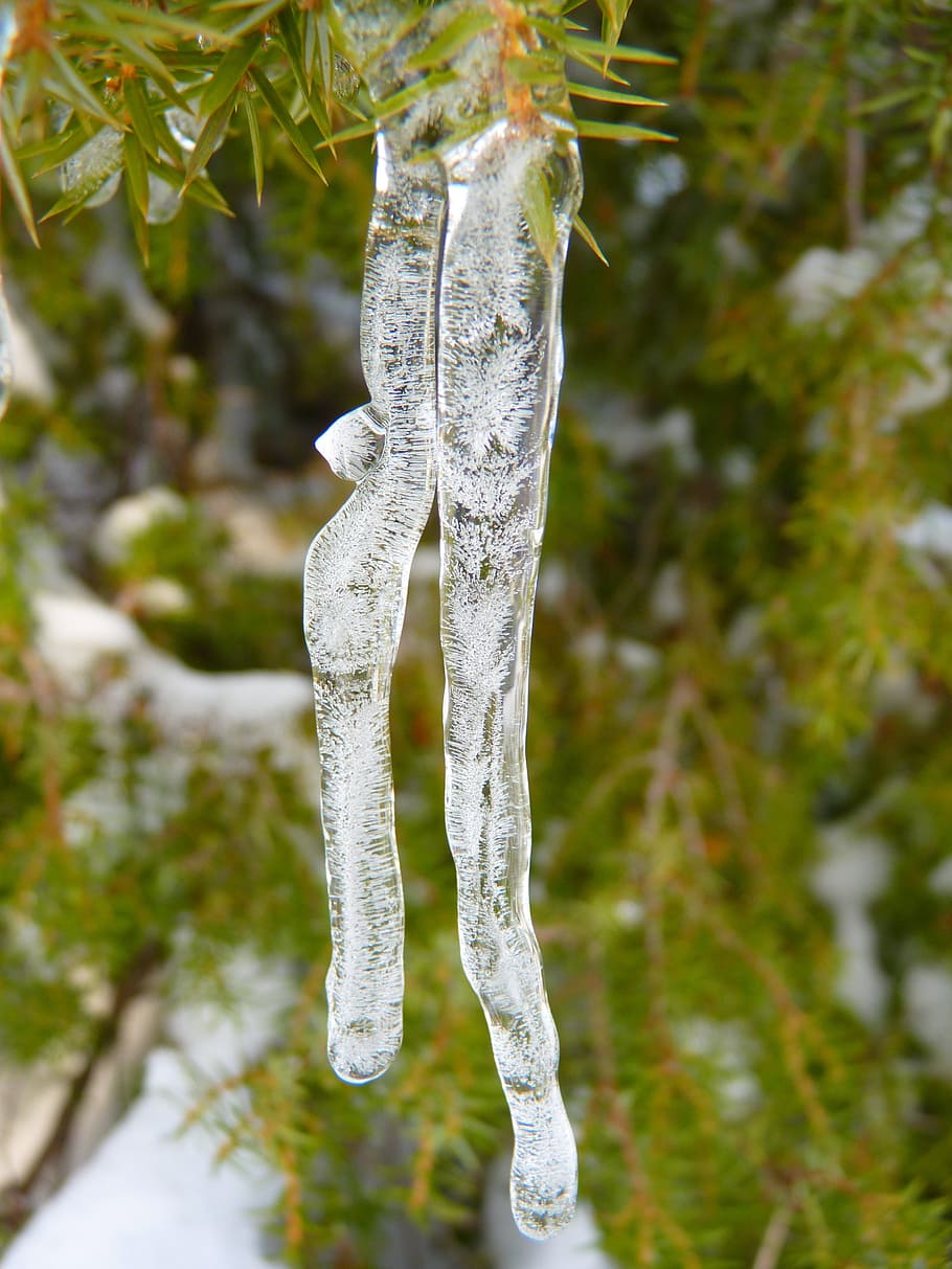 Frozen, Cold, Winter, Icicle, eisapfen, ice, icy, ice cold HD wallpaper