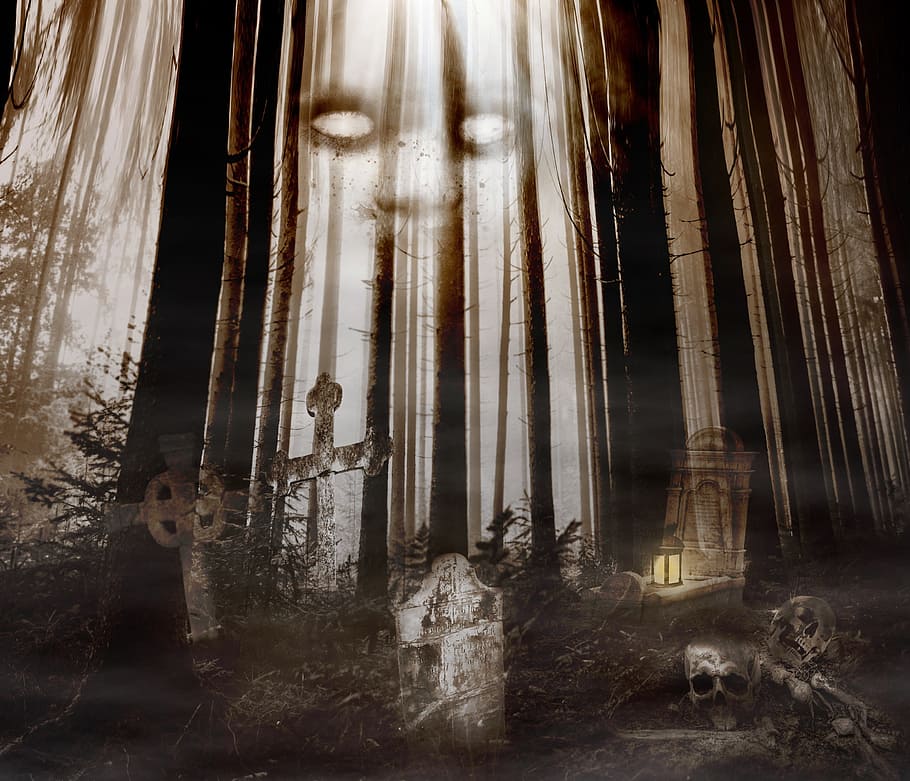 grave in the middle of forest illustration, graves, creepy, halloween, HD wallpaper