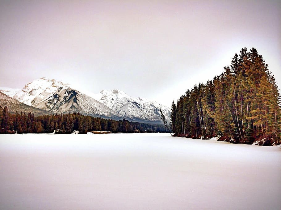 winter landscape, mountain, snow, white, season, cold, nature HD wallpaper