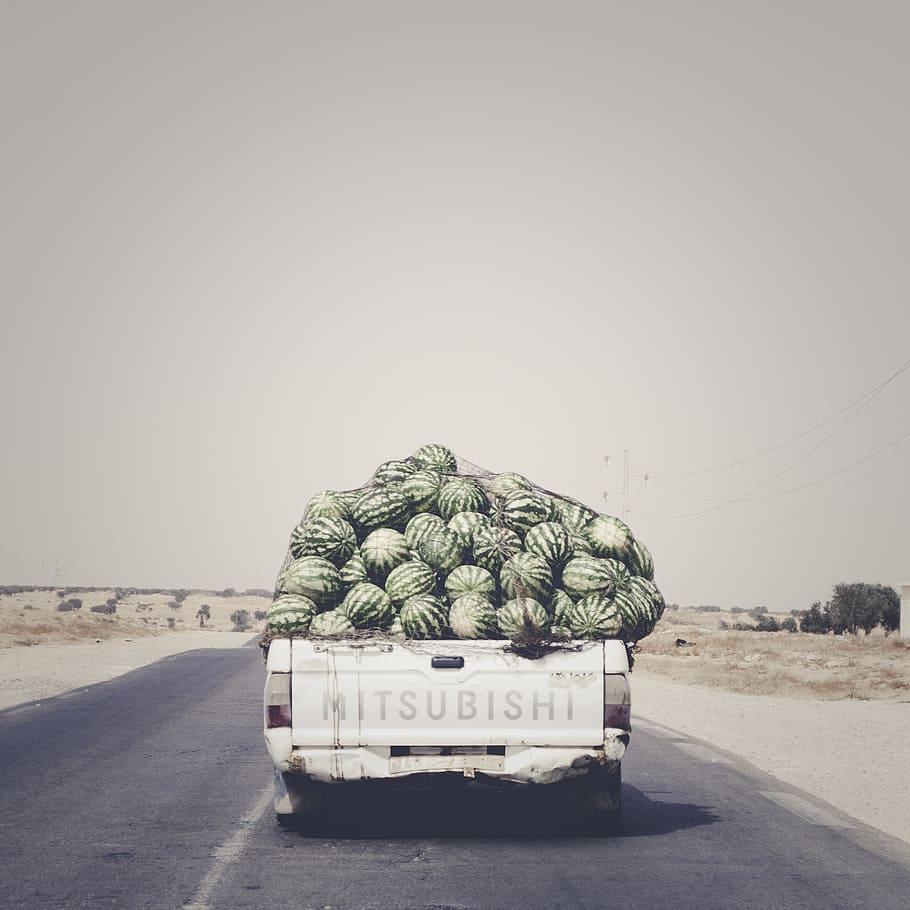 Mitsubishi pickup truck carrying watermelon lot traveling on road during daytime HD wallpaper