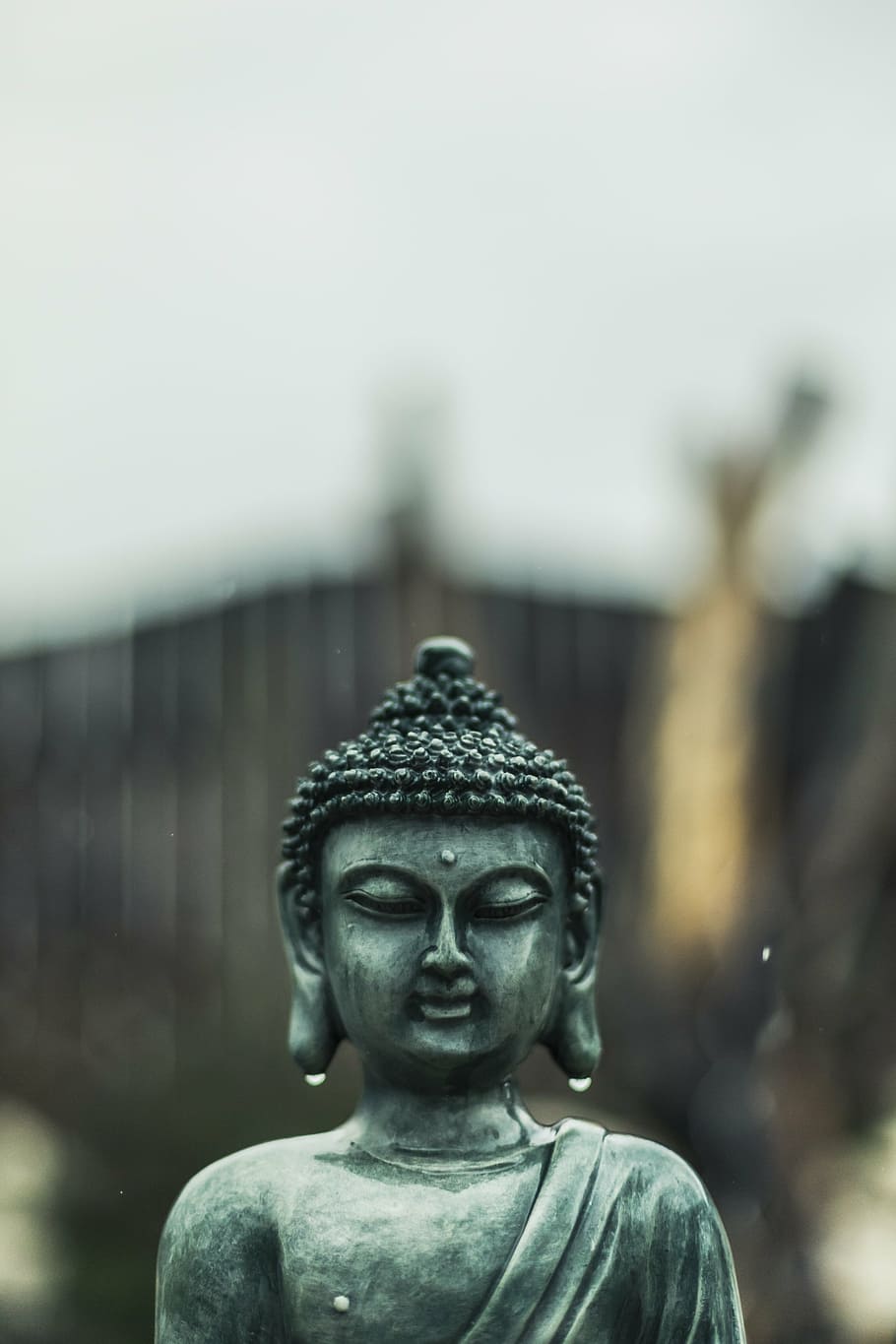 HD wallpaper: selective focus photo of jade buddha, rain, buddhism, sacred  | Wallpaper Flare