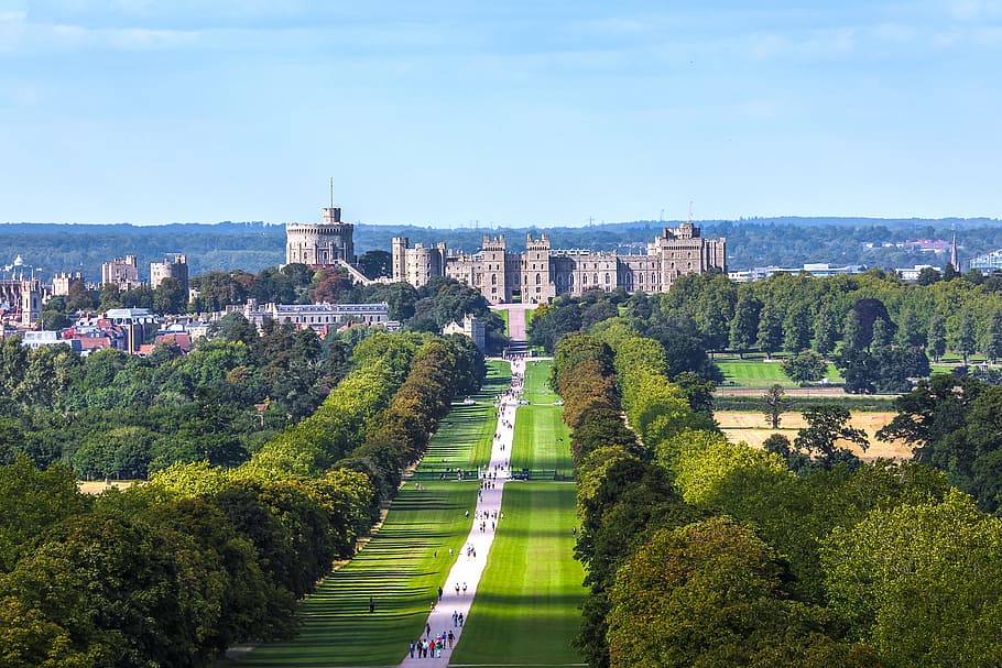 aerial view of green leafed trees during daytime, windsor castle