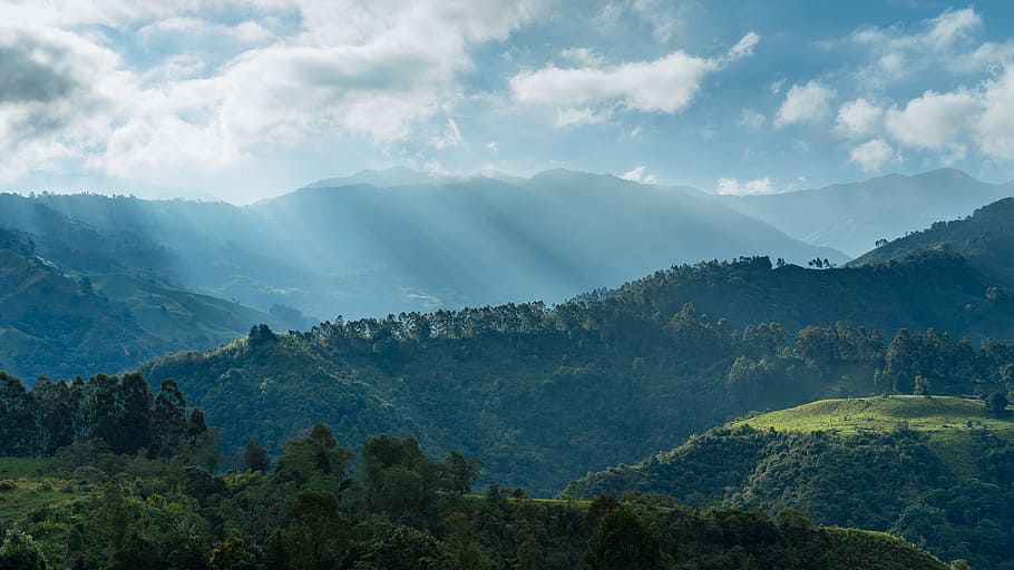 sunrise on mountains, aerial photo of forest, landscape, green HD wallpaper