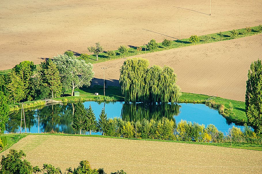 pond, trees, mirroring, fields, landscape, arable, nature, plant HD wallpaper