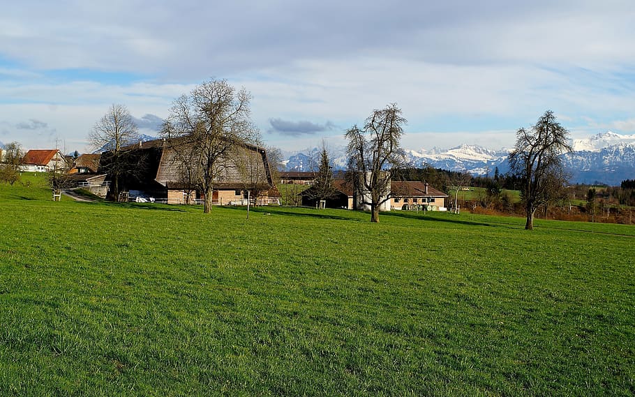 meadow, field, barn, landscape, rural, built structure, sky HD wallpaper
