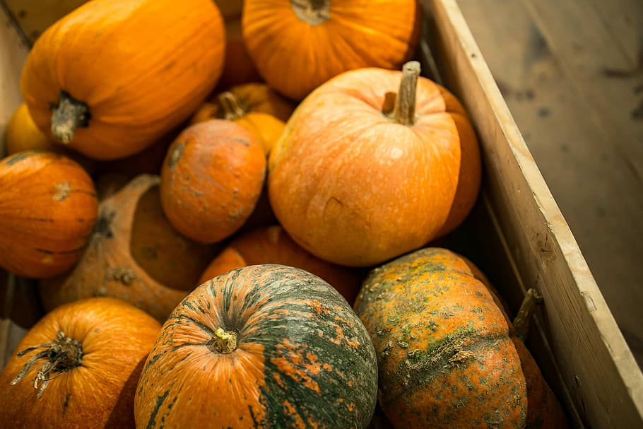 Close-ups of pumpkins in a wooden box, orange, vegetable, autumn