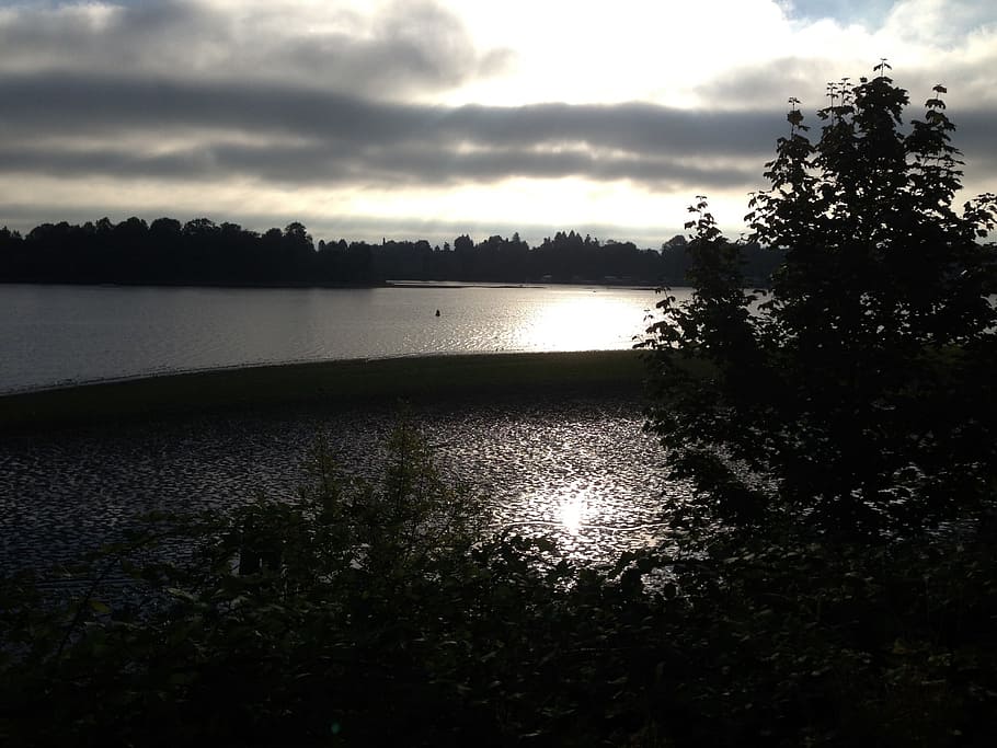 Darkness, River, Trees, Flora, Nature, plants, cloudy, sky HD wallpaper