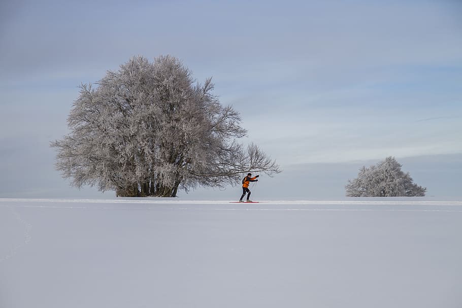 Cross-Country Skiing, Winter, Landscape, cross country skiing, HD wallpaper