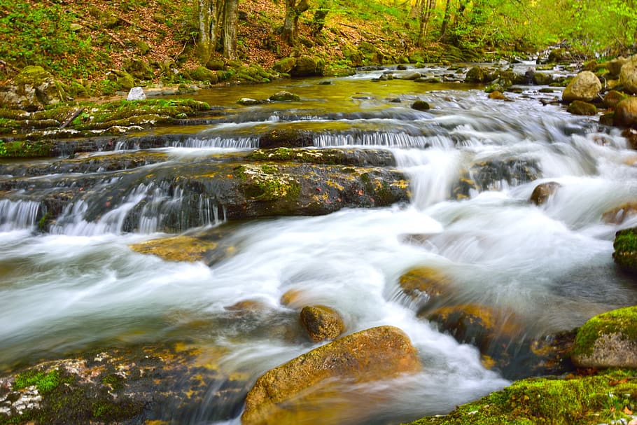 water, stream, nature, river, waterfall, motion, beauty in nature HD wallpaper