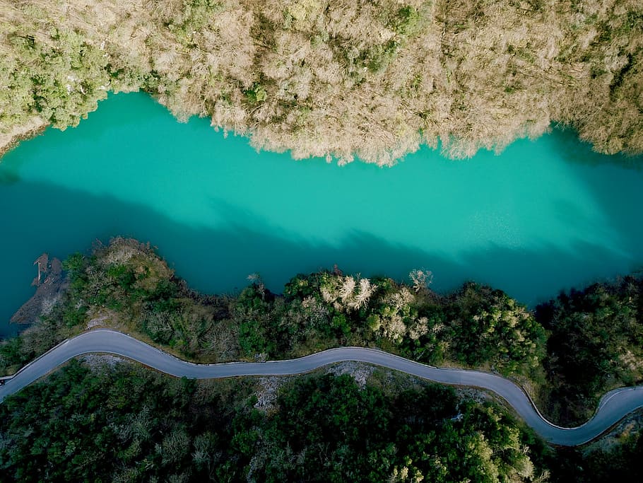 aerial phoography of road near river and green leafed trees, aerial view of road near trees and body of water HD wallpaper