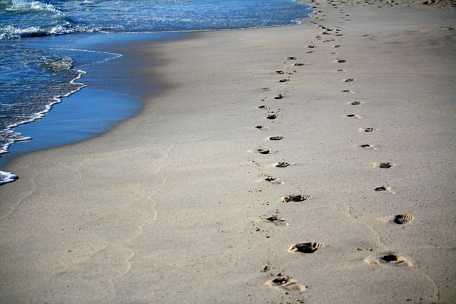 footprint on sea shore, footprints, sand, ocean, tracks in the sand, HD wallpaper