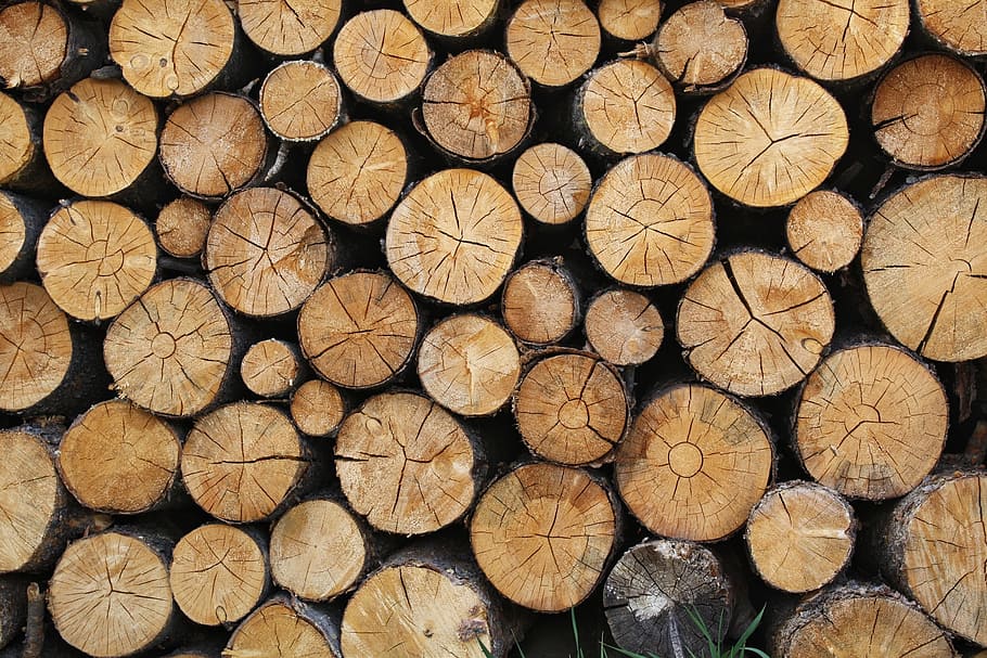 pile of brown firewoods, logs, timber, logging, lumber, forestry