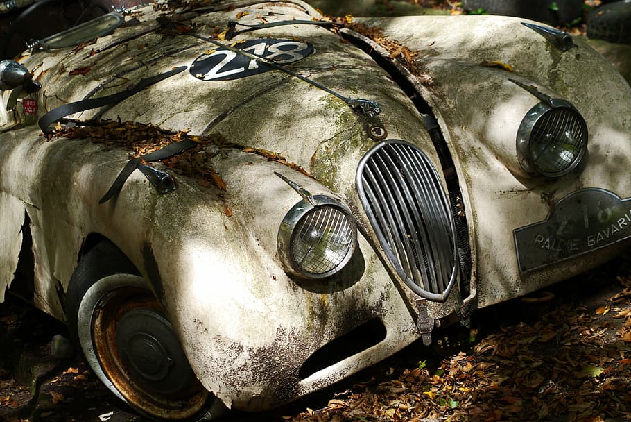 abandoned white vintage car, jaguar, oldtimer, auto, classic HD wallpaper