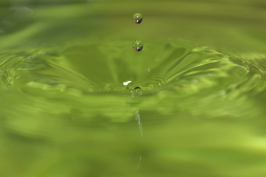 macro photograph of droplet, drip, liquid, green, water, nature HD wallpaper