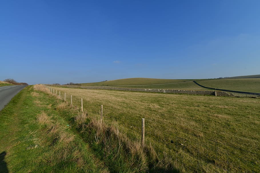 field, meadow, green, cloud, landscape, nature, environment HD wallpaper