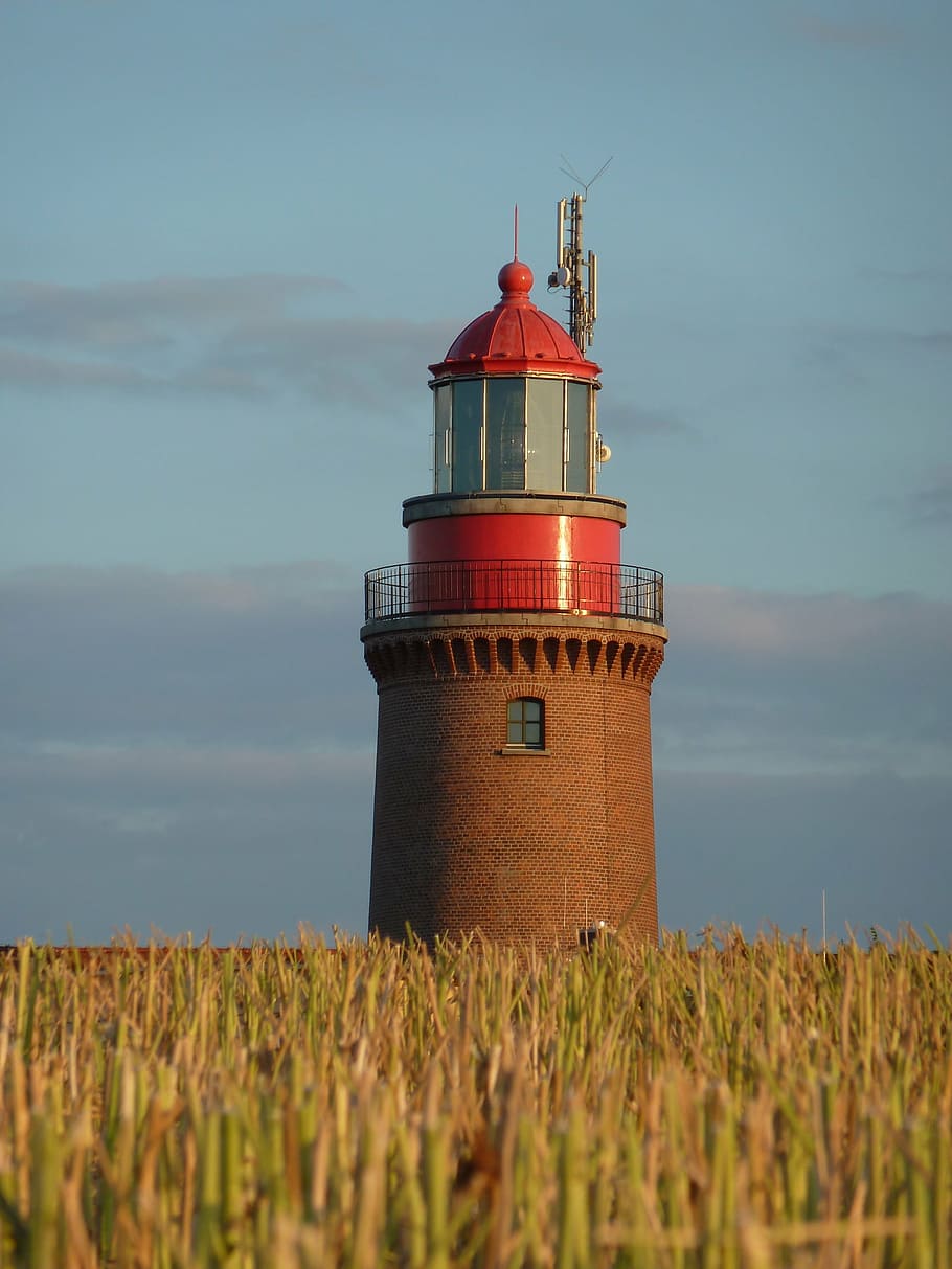 lighthouse, bastorf, cornfield, summer, coast, baltic sea, wheat field HD wallpaper