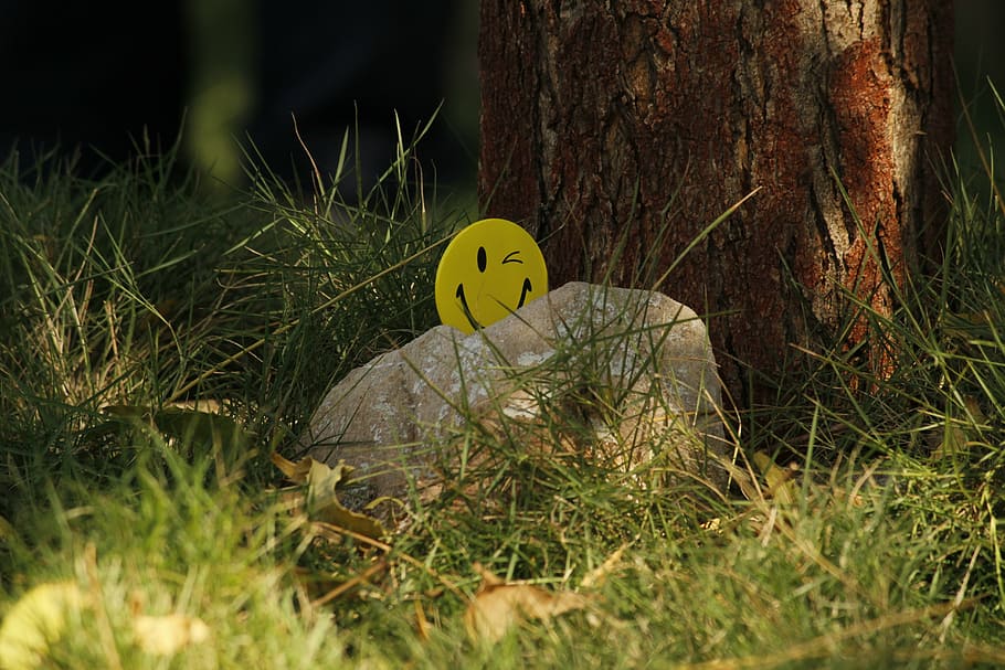 smiley, yellow, grass, stone, smiley face, plant, land, nature HD wallpaper