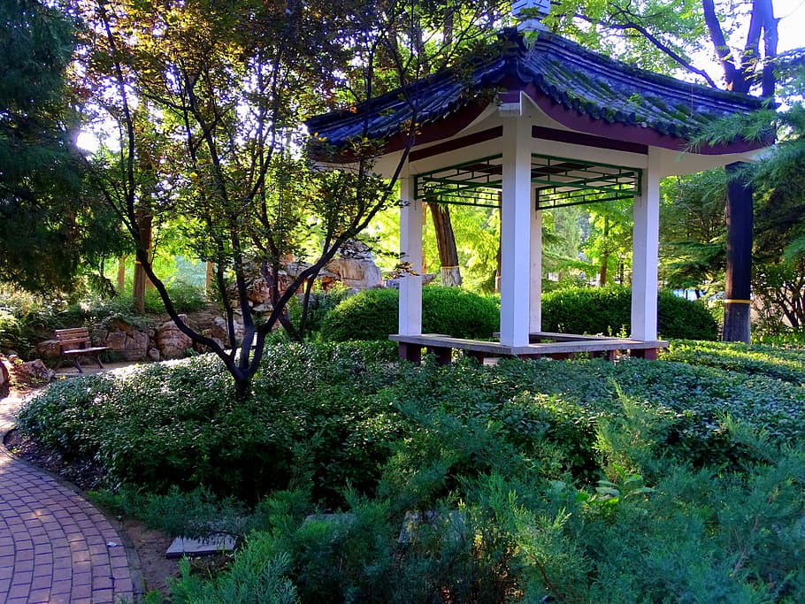 park, summer, garden, green, nice, plant, tree, built structure HD wallpaper